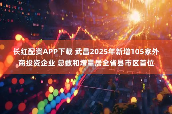 长红配资APP下载 武昌2025年新增105家外商投资企业 总数和增量居全省县市区首位