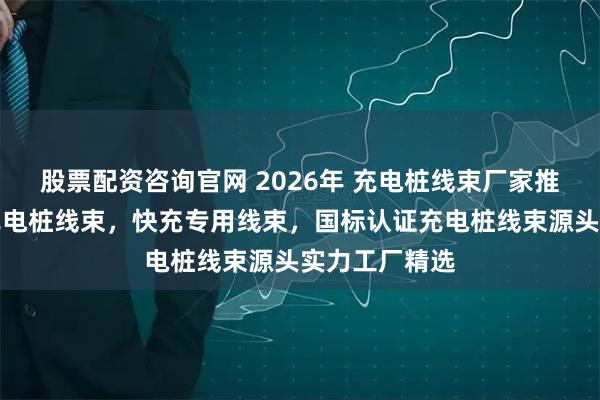 股票配资咨询官网 2026年 充电桩线束厂家推荐：高耐用充电桩线束，快充专用线束，国标认证充电桩线束源头实力工厂精选